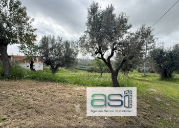 Foto 5 - Casa indipendente VIA SAN ROCCO, Controguerra - foto 5