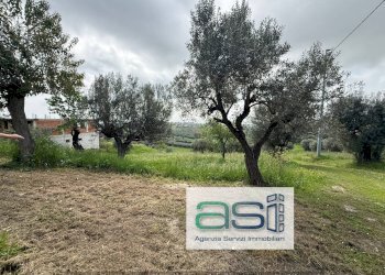 Foto 16 - Casa indipendente VIA SAN ROCCO, Controguerra - foto 16