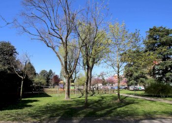 Foto 39 - Appartamento Via Vesio, Milano - foto 39