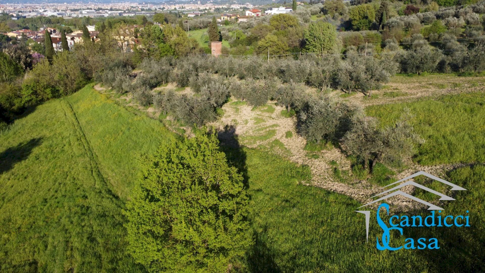 Foto 2 - Terreno agricolo VIA TRIOZZI BASSO
 
16, Scandicci - foto 2