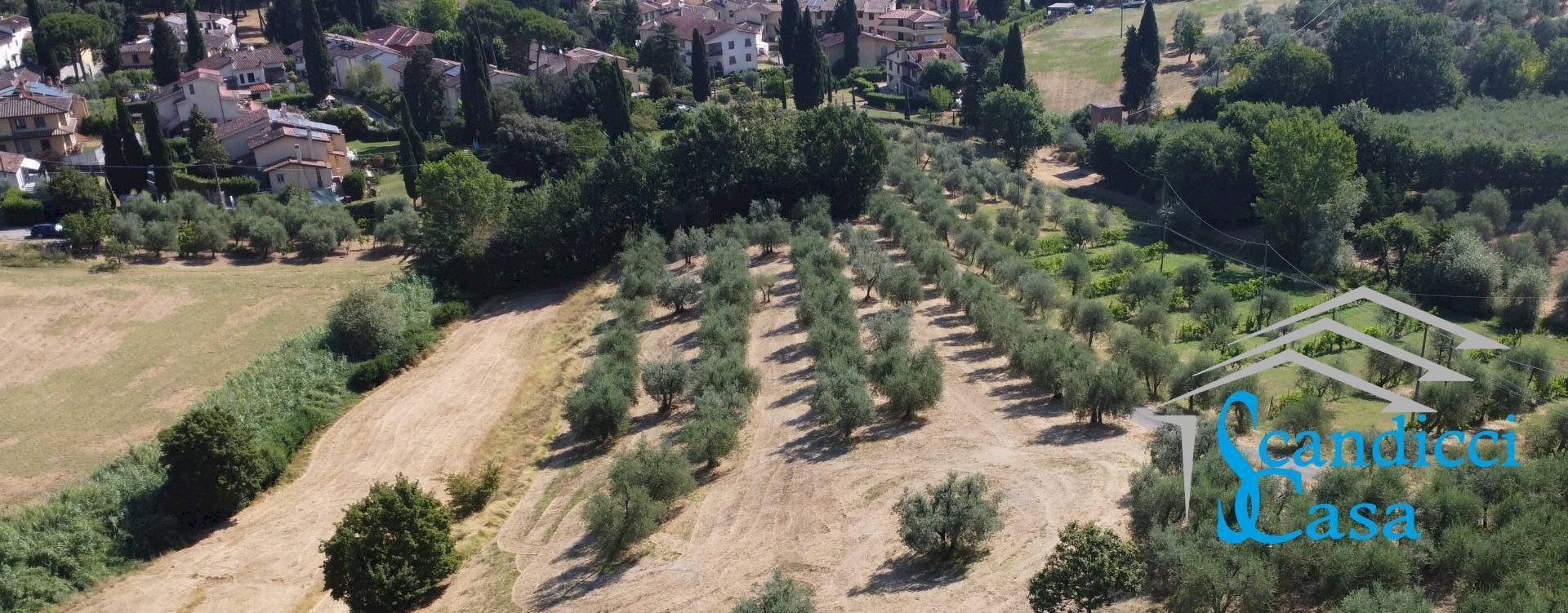 Foto 3 - Terreno agricolo VIA TRIOZZI BASSO
 
16, Scandicci - foto 3