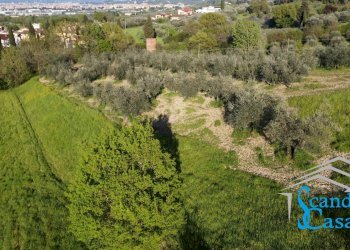 Foto 2 - Terreno agricolo VIA TRIOZZI BASSO
 
16, Scandicci - foto 2