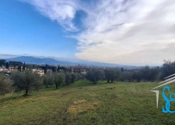 Foto 5 - Terreno agricolo VIA TRIOZZI BASSO
 
16, Scandicci - foto 5