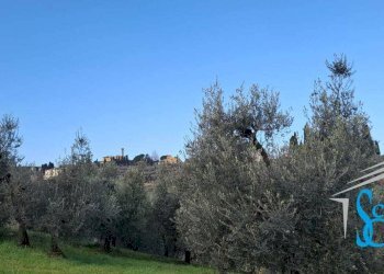 Foto 9 - Terreno agricolo VIA TRIOZZI BASSO
 
16, Scandicci - foto 9