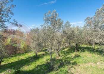 Foto 9 - Villa Via Napoleone, Fontana Liri - foto 9