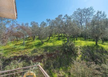 Foto 51 - Villa Via Napoleone, Fontana Liri - foto 51