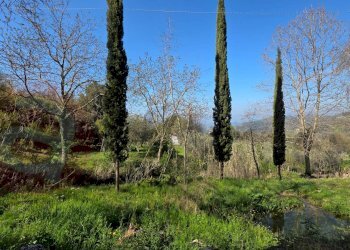 Foto 5 - Rustico Via Barbanera
 
snc, Santopadre - foto 5