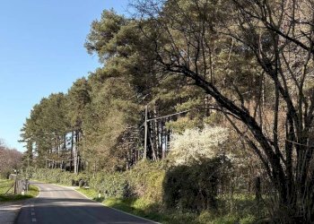 Foto 18 - Appartamento via zuccari
 
170, Viterbo - foto 18