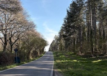 Foto 19 - Appartamento via zuccari
 
170, Viterbo - foto 19