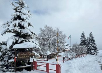 Foto 11 - Appartamento Malga Campoleva' di Sotto, Bosco Chiesanuova - foto 11