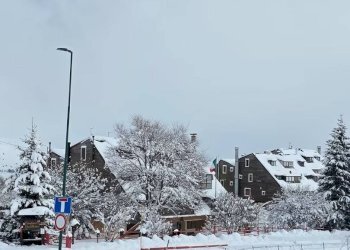 Foto 12 - Appartamento Malga Campoleva' di Sotto, Bosco Chiesanuova - foto 12