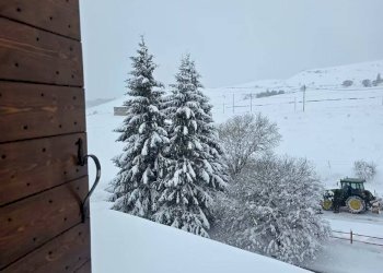 Foto 13 - Appartamento Malga Campoleva' di Sotto, Bosco Chiesanuova - foto 13