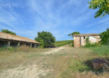 Foto 7 - Rustico Contrada Palazzi
 
snc, Spinetoli - foto 7