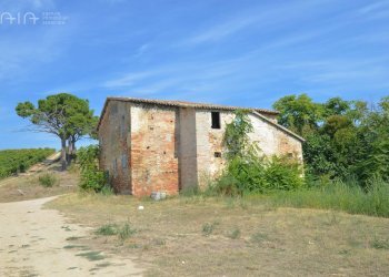 Foto 11 - Rustico Contrada Palazzi
 
snc, Spinetoli - foto 11