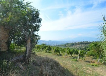 Foto 13 - Rustico Contrada Palazzi
 
snc, Spinetoli - foto 13