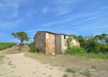 Foto 19 - Rustico Contrada Palazzi
 
snc, Spinetoli - foto 19