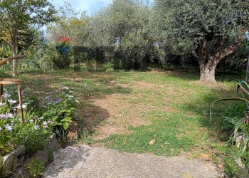 Giardino - Casa semi indipendente Ardea - foto 6