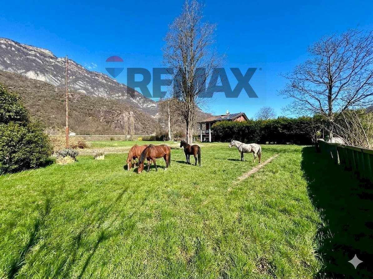 Giardino - Casa indipendente Darfo Boario Terme - foto 2