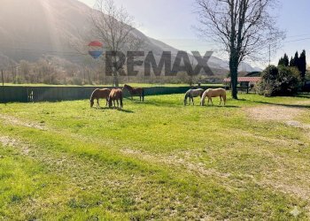 Giardino - Casa indipendente Darfo Boario Terme - foto 10