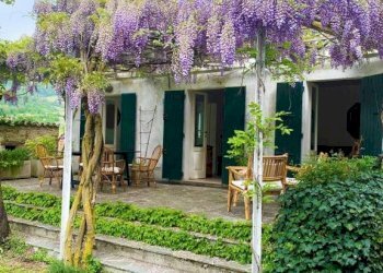 Rustico Pianello Val Tidone - foto 7