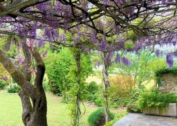 Rustico Pianello Val Tidone - foto 8