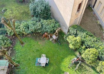 Giardino - Appartamento Via Cavour
 
57, Fidenza - foto 25