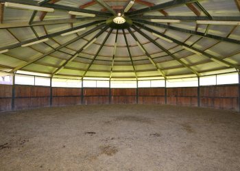 Foto 60 - Villa Cellarengo - foto 60