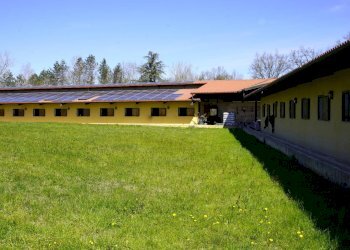 Foto 62 - Villa Cellarengo - foto 62