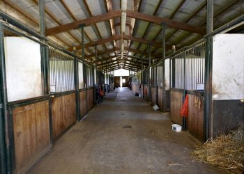 Foto 67 - Villa Cellarengo - foto 67