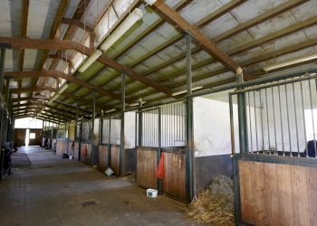 Foto 68 - Villa Cellarengo - foto 68