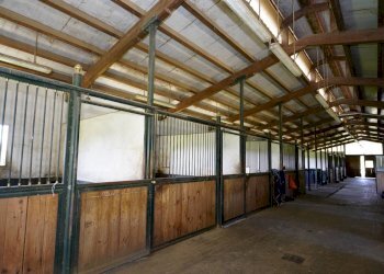 Foto 69 - Villa Cellarengo - foto 69