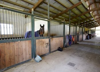 Foto 71 - Villa Cellarengo - foto 71