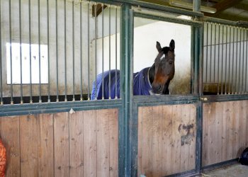 Foto 72 - Villa Cellarengo - foto 72