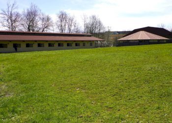 Foto 73 - Villa Cellarengo - foto 73