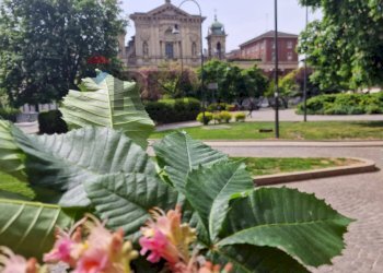 Giardino - Bilocale Via Francesco Petrarca
 
22, Milano - foto 63