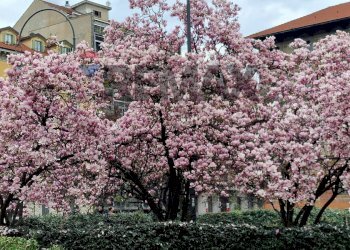 Casa all\'aperto - Bilocale Via Francesco Petrarca
 
22, Milano - foto 64