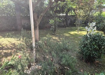 Foto 24 - Villa Sassuolo - foto 24