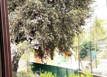 Foto 14 - Bilocale Via Fabiola, Roma - foto 14