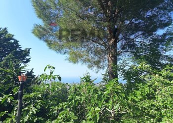 Giardino - Villa gran paradiso
 
84, Carini - foto 14