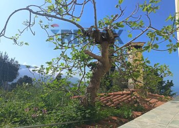 Giardino - Villa gran paradiso
 
84, Carini - foto 48