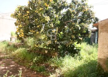 Foto 6 - Terreno edificabile Via Fondi (Pozzillo)
 
29, Acireale - foto 6