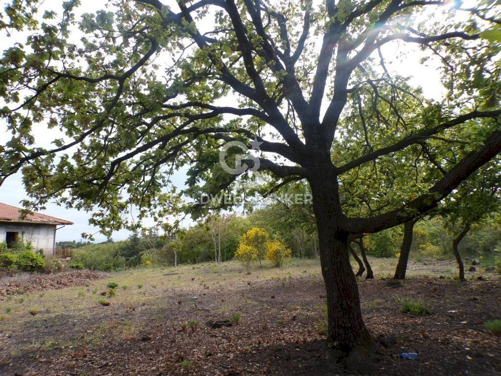 Foto 1 - Terreno edificabile via Archimede
 
39, Pedara - foto 1