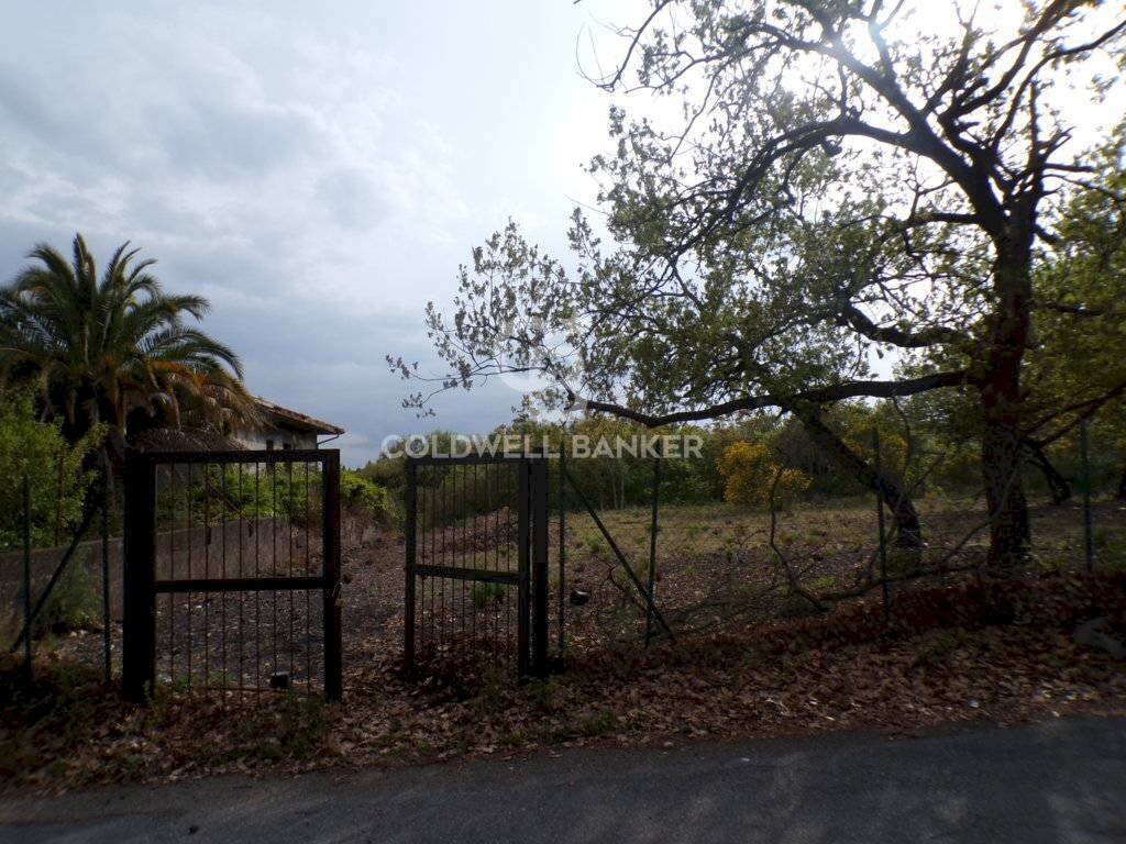 Foto 3 - Terreno edificabile via Archimede
 
39, Pedara - foto 3