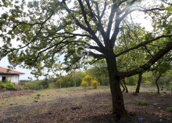 Foto 1 - Terreno edificabile via Archimede
 
39, Pedara - foto 1