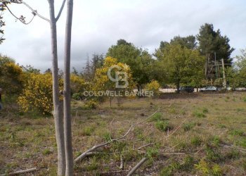 Foto 5 - Terreno edificabile via Archimede
 
39, Pedara - foto 5