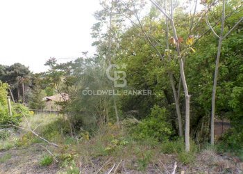 Foto 6 - Terreno edificabile via Archimede
 
39, Pedara - foto 6