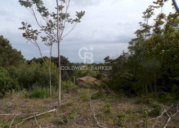 Foto 7 - Terreno edificabile via Archimede
 
39, Pedara - foto 7