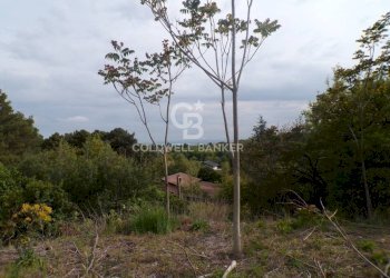 Foto 8 - Terreno edificabile via Archimede
 
39, Pedara - foto 8