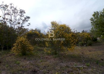 Foto 10 - Terreno edificabile via Archimede
 
39, Pedara - foto 10