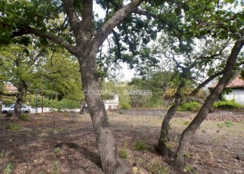 Foto 11 - Terreno edificabile via Archimede
 
39, Pedara - foto 11